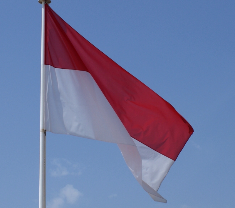 indonesian flag button. indonesian flag 2011.