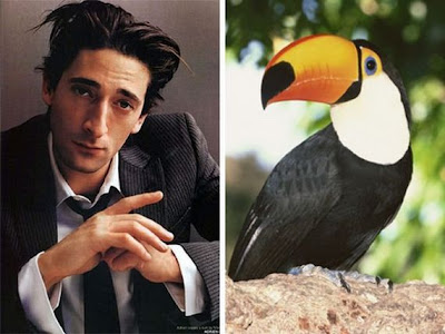 Funny - Similarity Between Celebrities And Animals