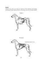 Rhodesian Ridgeback breed standard