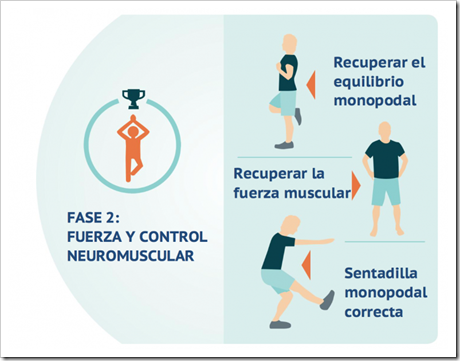 2 Rehabilitación del Ligamento Cruzado Anterior LCA en Pádel en cinco fases basado en objetivos.