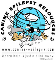 Dog Epileptic Seizure2