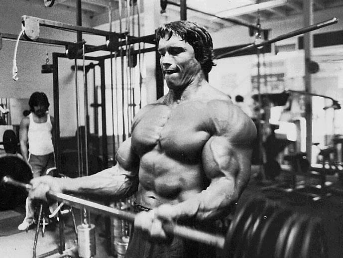 arnold schwarzenegger now fat10. Weight training