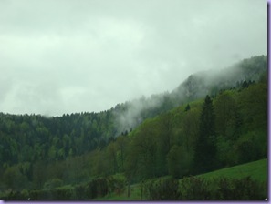 Resized_DSC04319