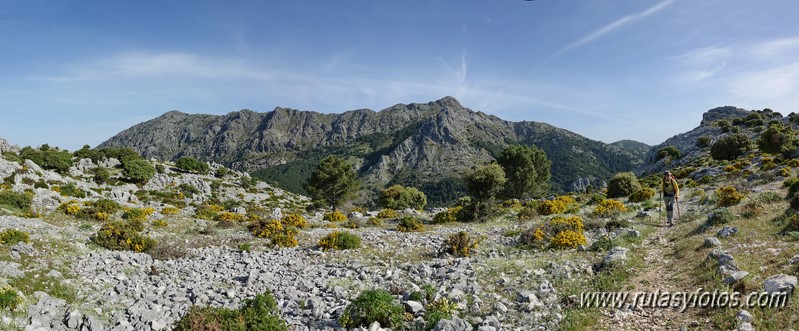 Nueve picos de la Sierra del Endrinal