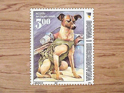 <b>País:</b> Bosnia y Herzegovina  <b>Año:</b> 2007