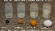 Baby 4 Bulan Minum Susu Berapa Oz