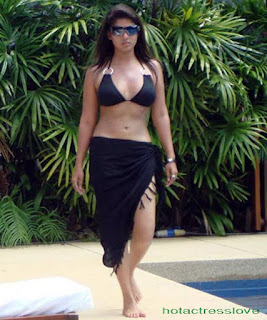 nayantara hot image, hot bikini pics