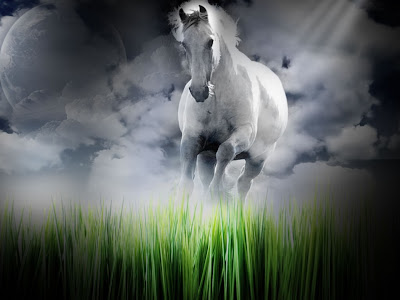 running-horse-animal-wallpaper-download