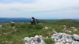 planinarenje, planinarska staza, zeleni obronci, na stazi prema Špičastom vrhu