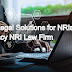 Corporate Legal Solutions for NRIs Investing in India