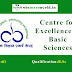 Centre for Excellence in Basic Sciences