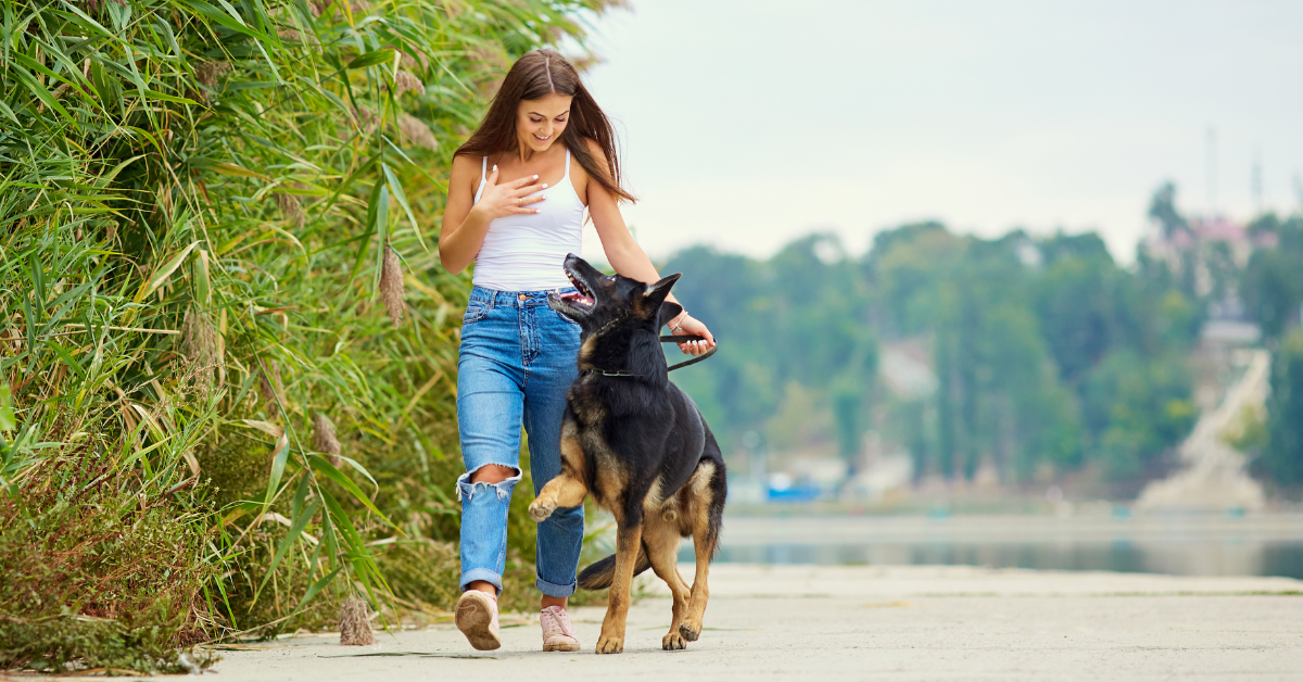 Dirty dog grooming tools and techniques
