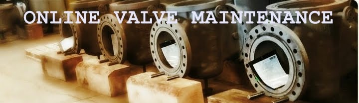 Online Valves Maintenance and Products
