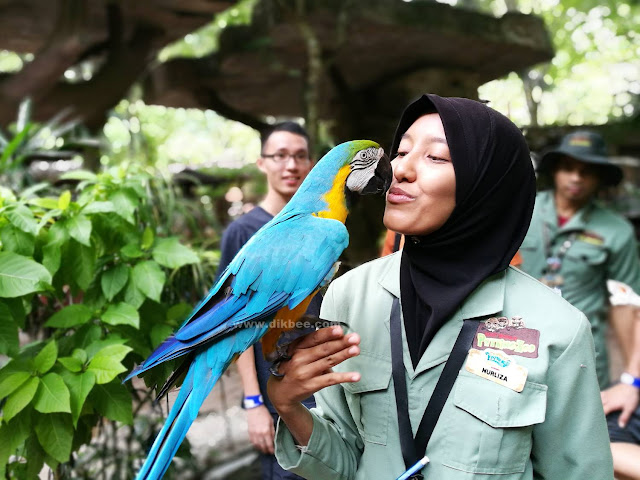 Tarikan Terbaru Dan Menarik Di Lost World Of Tambun