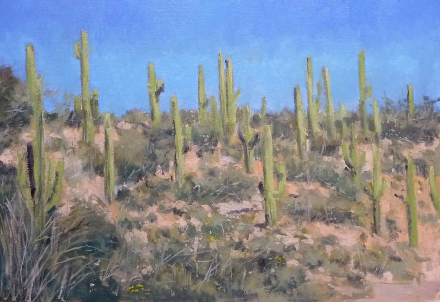 I just finished a new picture of the Sonoran Desert in Arizona.