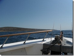 DSCF0993