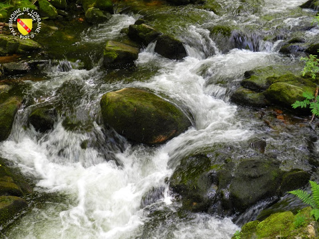 GERARDMER (88) - Le Saut des Cuves