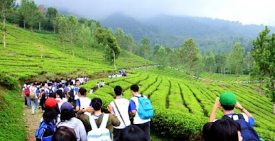 Taman riung gunung bogor