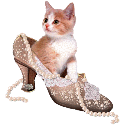 gifs zapatos buscoimagenes com (10)