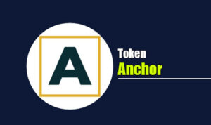 Anchor, ANCT Coin