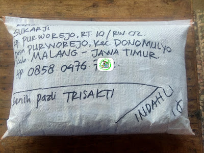 Benih pesanan SUKARJI Malang, Jatim.   (Sesudah Packing)
