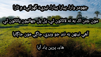Sindhi Poetry & Sindhi Shayari | Sindhi Poetry in Sindhi Text