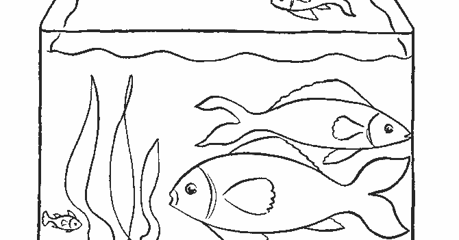 11 Gambar Sketsa Ikan Aquarium Gambar Kekinian