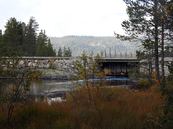 vassfarstien strøsdammen