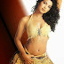 Priyanka Chopra : Hot and Sizzling 