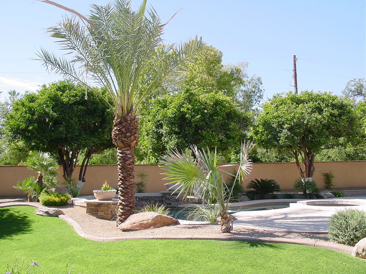 Arizona Front Yard Landscape Design Ideas