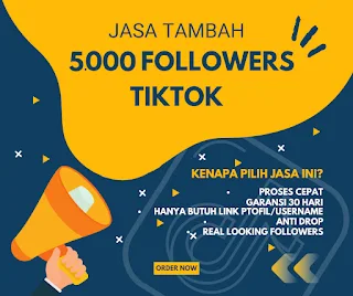 Jasa Tambah 5000+ Followers TikTok Real Looking [Worldwide] Low Drop Termurah Garansi 30 hari