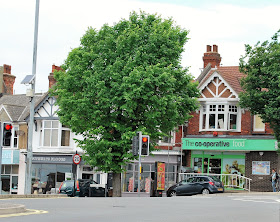 Brighton Shop Heroes, Preloved in Fiveways