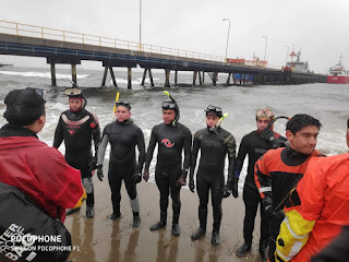 https://www.armada.cl/armada/noticias-navales/8-primeros-nadadores-escogidos-entrenan-en-las-bajas-temperaturas-de/2019-04-19/093237.html