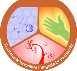 Fisioterapia vascolare integrata Dr Peccapelo