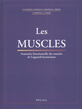 Les muscles