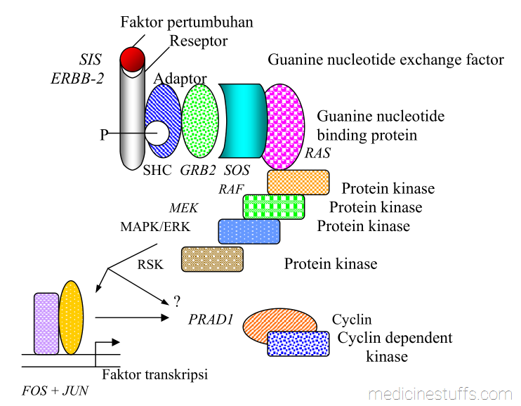 gambar-5-diagram-jalur-RAS