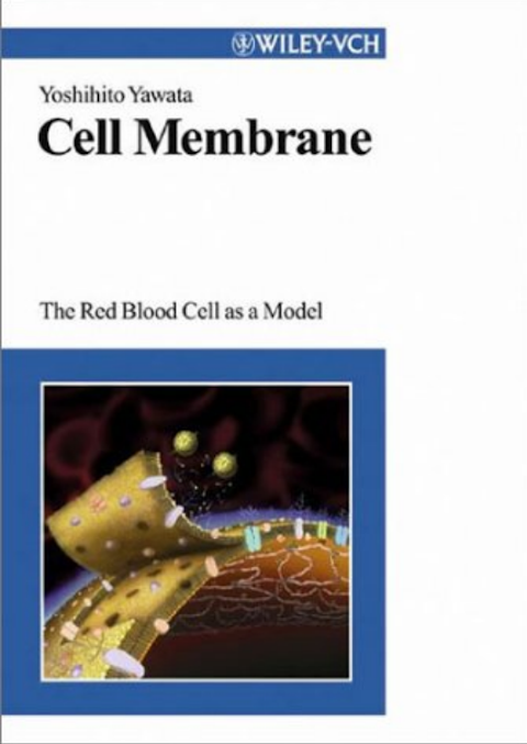 Cell Membrane The Red Blood Cell as a Model