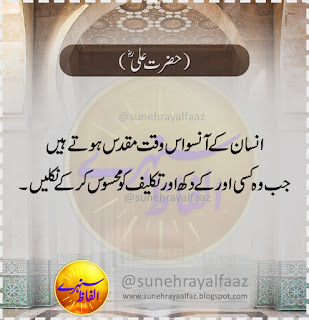 Hazrat Ali Quotes in Urdu