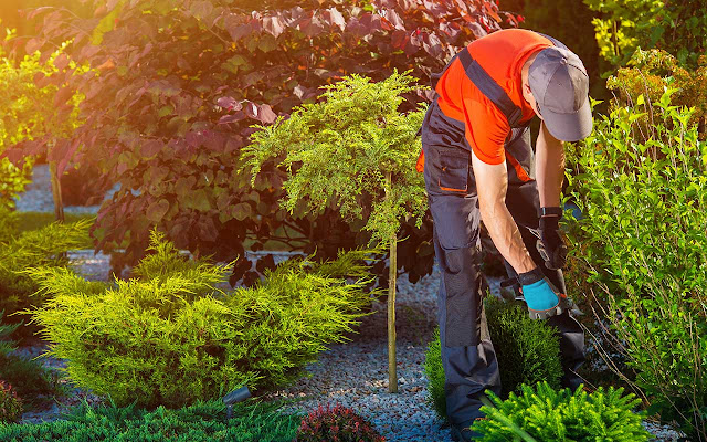5 Tips for Eco-Friendly Garden Maintenance Practices