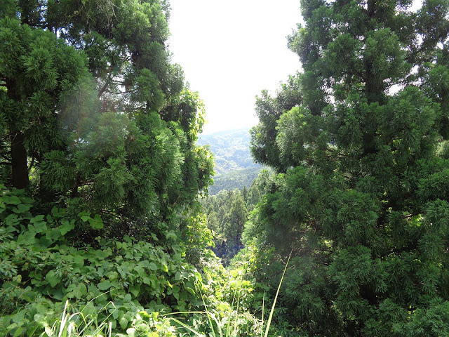 鎌倉山グリーンラインからの風景