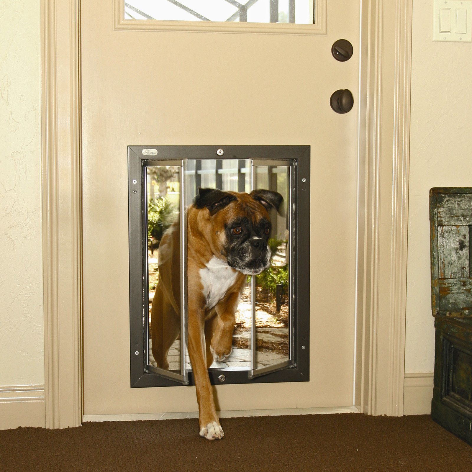Dog doors - dog and owner reprieve:Pictures of Dogs and All About Dog