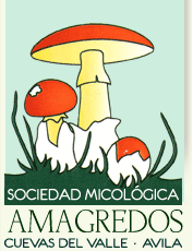 <b>Colaboradores</b>