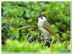 20111001_153550_130_Taitung