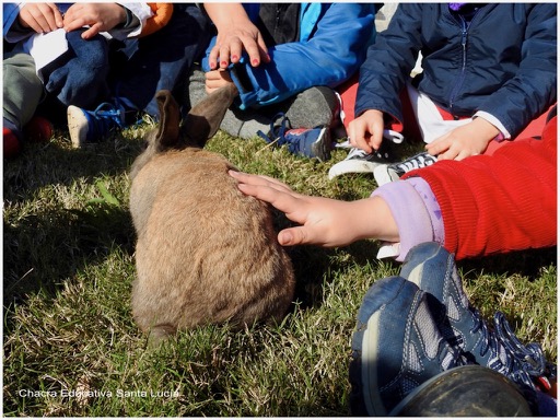 Sentados en ronda, aprendiendo sobre los conejos - Chacra Educativa Santa Lucía