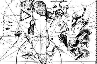 Образ на Хвърчаща риба (Volans), Южна хидра (Hydrus), Хамелеон (Chamaeleon), Райска птица (Apus), Южен триъгълник (Triangulum Australe), Златна рибка (Dorado) и Тукан (Tucana)