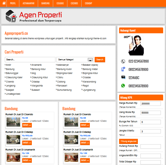 Download theme untuk Bisnis Properti Online, Membangun Web 