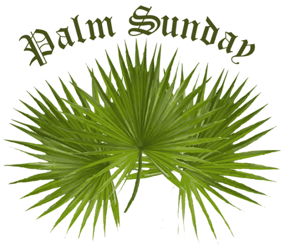 Happy Palm Sunday Quotes, Images And Messages for facebook, Whatsapp