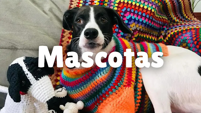 🐾 MANTÉN TU PELUDITO CÓMODO Y CALENTITO: Tutoriales de ropa, accesorios y mantas para perros a crochet