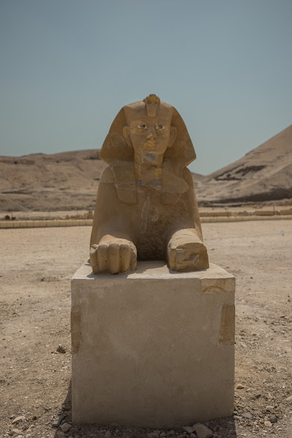 Sphinx at Hatshepsut Temple