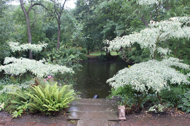 Singing in the rain... again - a lake view at West Green House Gardens